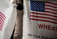 No, Foreign Aid is not Making Africa Poor