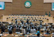 The African Union Operates Exactly as Designed