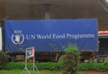 African Trends: When will Africa become self-sufficient?